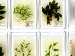 -广东中医药博物馆