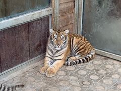 -西霞口神雕山野生动物世界