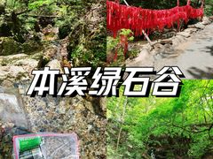 -本溪汤沟绿石谷森林公园