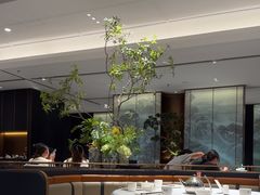 -金春禧(世茂国际广场店)