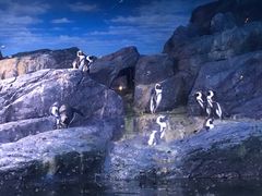 -暹罗海洋世界