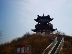 -南大港湿地风景区
