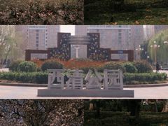 -西清公园