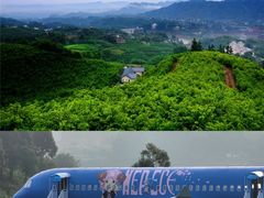 -忠山公园