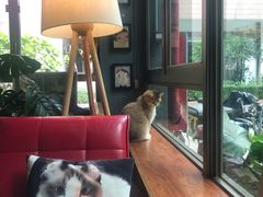 -咖法森林·咖啡  酒吧(天河店)