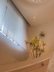 -WENDY·温迪皮肤管理