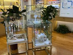 -天津大学爱尔眼科医院(天津总院)
