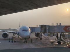 -上海浦东国际机场-T2航站楼