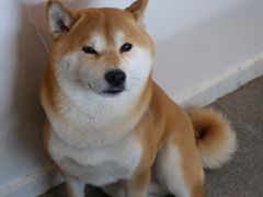 -三目仓咖啡(贤南路店)