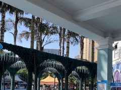 -海合安成都极地海洋公园