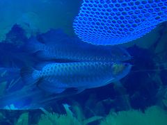 -常州海昌海洋探索馆