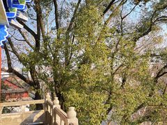 -东坡赤壁风景名胜区