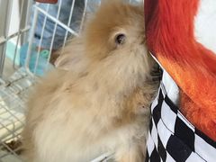 -怪兽屋·羊驼·猫咖·狗咖(俊华广场店)