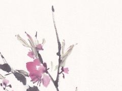 -八哥美术·成人美术画室(总校区)