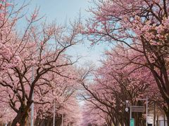 -吉林大学(南岭校区)