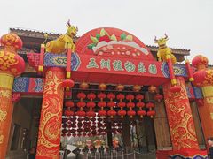 -南宫五洲植物乐园