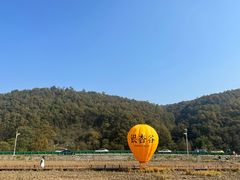 -千年银杏谷文化旅游区