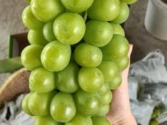 -马陆小张葡萄园农家乐