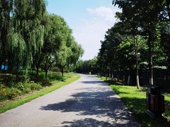 -永定河休闲森林公园