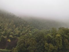 -翠茗农庄土菜馆(天目湖店)