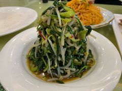 山野苦苦菜-国强手抓(西夏区店)