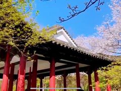 -杭州植物园