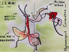 -白鹿艺术美学工作室 1 画室(MOMA校区)