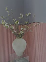 -花隐·美芙炫海菲秀皮肤管理中心