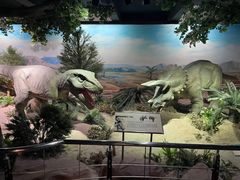 -国家自然博物馆