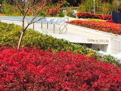 -UNI UNI(环亚凯瑟琳店)