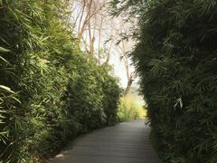 -暨阳湖生态园