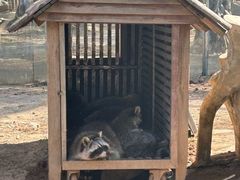 -灵玲国际马戏城
