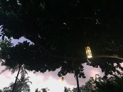 -Rock Bar Bali(Bali)