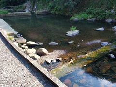 -宁波余姚老柿林山居度假村