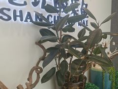 -山城外·非遗酸菜鱼(蜀都万达店)