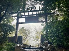 -无锡蠡湖国家湿地公园-蠡园