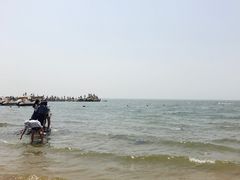 -老虎石海上公园