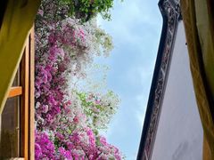 -深圳国际园林花卉博览园