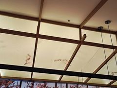 -老板恋上鱼(荣盛广场店)