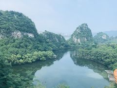 -鼎湖山风景区