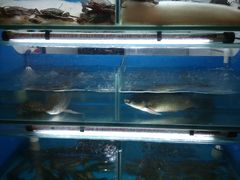 -李记潮汕砂锅粥(营福路店)