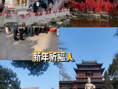 -毗卢寺