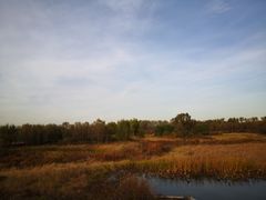 -东郊湿地公园