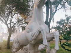 -莲花池公园