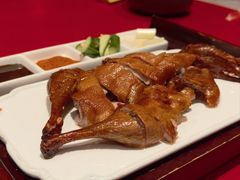 -福照楼汽锅鸡·云南菜(火车站锦江店)