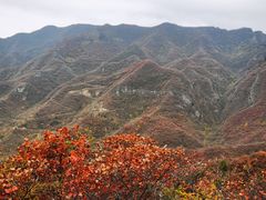 -水峪民俗村