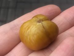 -阿男野栗王(金门路店)