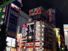 -秋叶原电器街