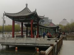 -莲花池公园