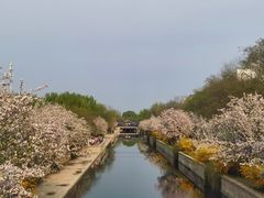 -海棠花溪(元大都城垣遗址公园)